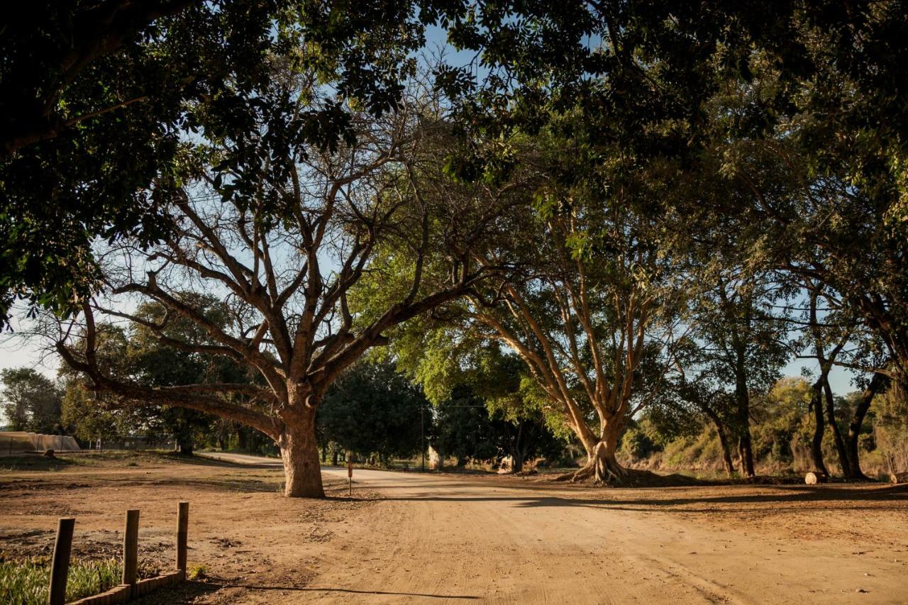 Letaba Junction Lodge Letsitele Kültér fotó